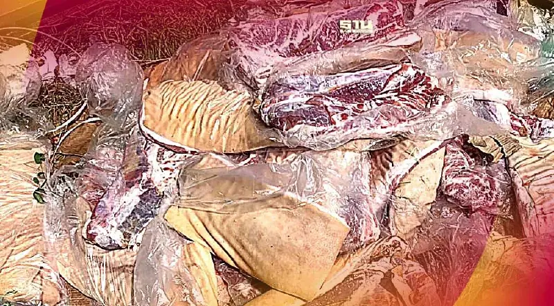 ศุลกากรยันเคลียร์หมูเถื่อนเกลี้ยง แก้ข่าวตู้คอนเทนเนอร์ตกค้าง