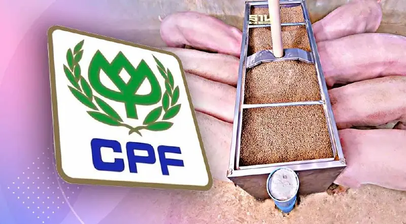 ซีพีเอฟ Q2 ชะลอตัว ลุ้นครึ่งหลังปรับตัวดีขึ้น