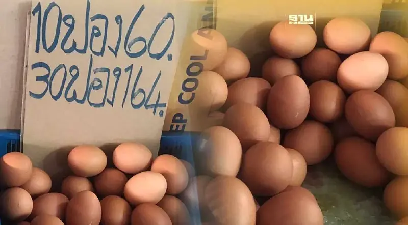 ผู้บริโภคอ่วม  "ไข่ไก่" เบอร์ 0 พุ่งแผงละ 164 บาท
