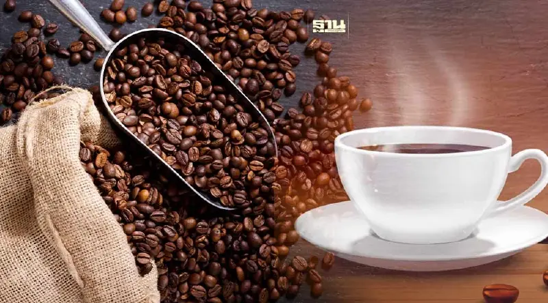 นักวิจัยบราซิลเร่งพัฒนากาแฟไร้คาเฟอีนตามธรรมชาติ คาดมูลค่าตลาดมหาศาล