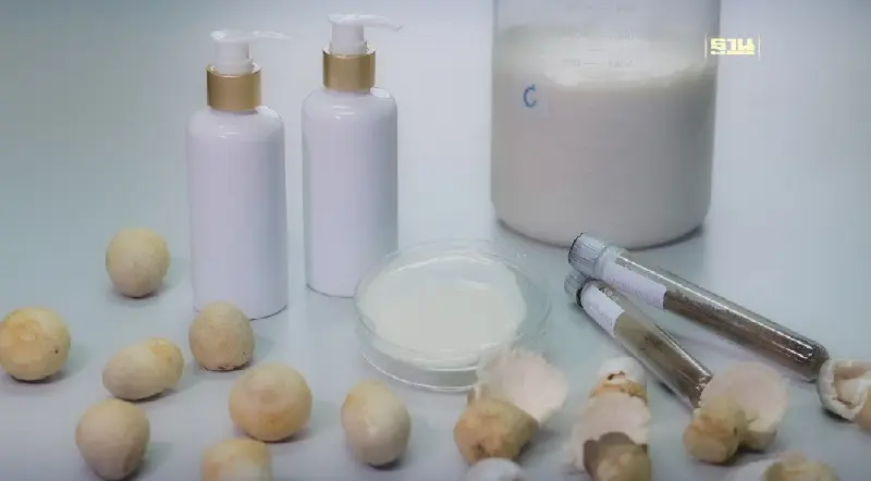 จากเห็ดฟาง สู่ความงามอย่างอ่อนเยาว์ “ไทยทำ ไทยใช้ สู่เวทีโลก”