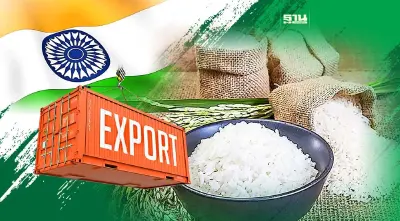 ประเทศไหนโดนฟาดหนักสุด เมื่อ “อินเดีย” สั่งห้ามส่งออกข้าวผลพวงจากเอลนีโญ