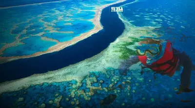 “เกรตแบร์ริเออร์รีฟ” ยังไม่ใช่มรดกโลกเสี่ยงอันตราย แต่ “เอลนีโญ” มาถึงแล้ว