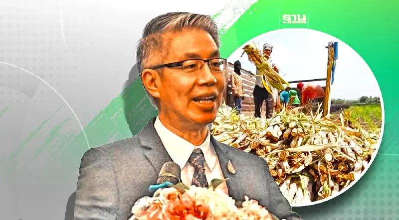 อุตสาหกรรมเล็งออก in cash & in kind ลดเผาอ้อยแก้ปัญหา "PM 2.5"