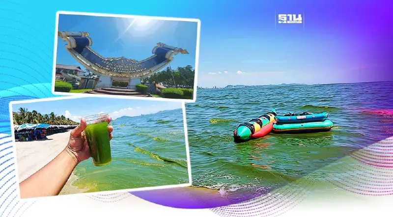เปิดภาพ "หาดบางแสน" เกิด "แพลงก์ตอนบลูม" น้ำทะเลสีเขียว รับหยุดยาววันแม่