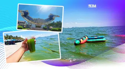 เปิดภาพ "หาดบางแสน" เกิด "แพลงก์ตอนบลูม" น้ำทะเลสีเขียว รับหยุดยาววันแม่