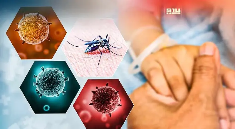 ผวา!ไข้เลือดออกปี 66 พุ่งถึง 3 เท่า เพิ่มสัปดาห์ละกว่า 5,000 ราย