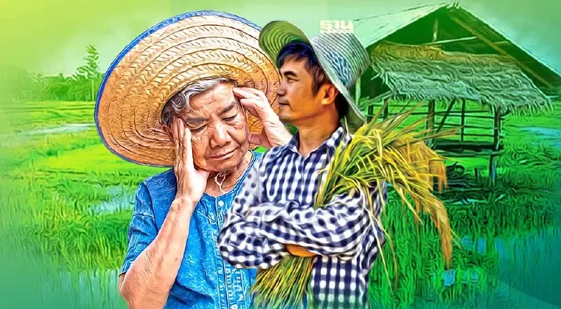 ชาวนาเคว้ง ปีนี้ไร้ประกันภัยนาข้าว "คลัง" รับเสนอไม่ทันยุบสภา