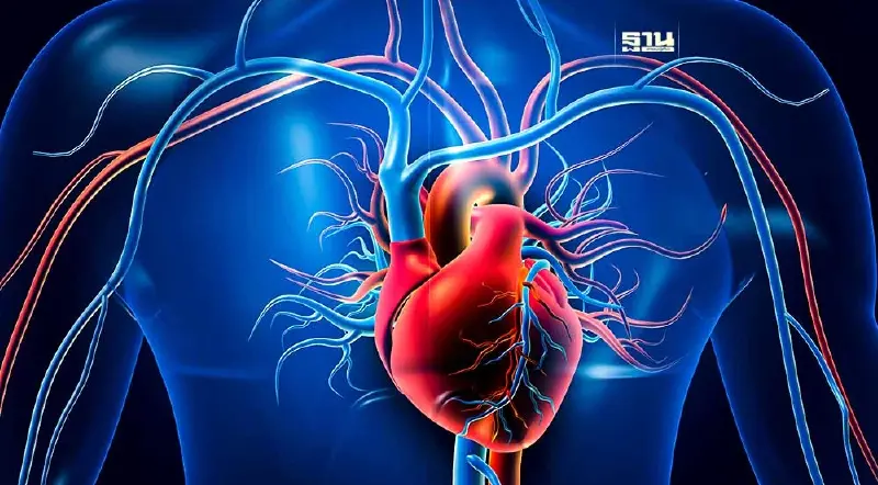 เปิด 5 ปัจจัยเสี่ยง "โรคหัวใจ - หลอดเลือด" ชนวนเหตุการตายคนทั่วโลก