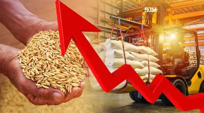 ฟิทช์เตือนราคาข้าวตลาดโลกจ่อพุ่งอีก