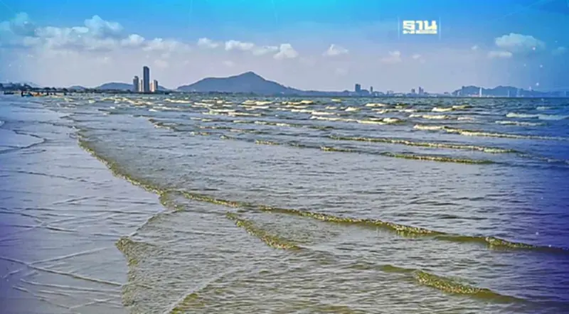 คุณภาพน้ำชายหาดบางแสนกลับสู่ภาวะปกติ แต่ควรระวังการเข้าสู่ร่างกาย คุณภาพน้ำชายหาดบางแสนกลับสู่ภาวะปกติ แต่ควรระวังการเข้าสู่ร่างกาย