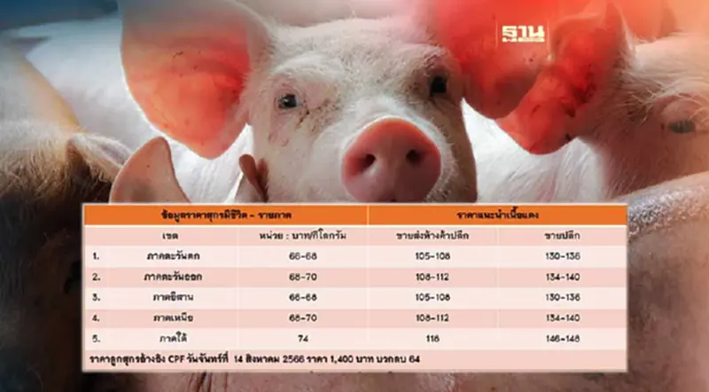 ข่าวดี ราคาหมู ปรับขึ้นอีก 2 บาทต่อโล ผู้เลี้ยงเฮลั่น ข่าวดี ราคาหมู ปรับขึ้นอีก 2 บาทต่อโล ผู้เลี้ยงเฮลั่น