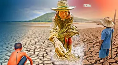 “เอลนีโญ” น่าห่วงเอกชนหวั่นกระทบผลผลิต สินค้าเกษตรไทย