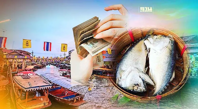 “ปลาทูแม่กลอง” สินค้าGI“หน้างอ คอหัก”สร้างรายได้ให้ชุมชนกว่า12 ล้าน