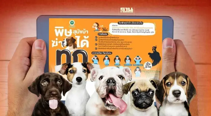 เตือน!ติดเชื้อ "โรคพิษสุนัขบ้า" อันตรายถึงตาย