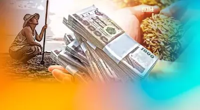 ราคาข้าวปีนี้ ชาวนายิ้มรับเงินเต็มกระเป๋า แต่ไม่มีน้ำปลูกปีหน้า