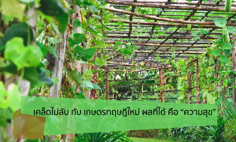 เคล็ดไม่ลับ กับ เกษตรทฤษฎีใหม่ ผลที่ได้ คือ “ความสุข” เคล็ดไม่ลับ กับ เกษตรทฤษฎีใหม่ ผลที่ได้ คือ “ความสุข”