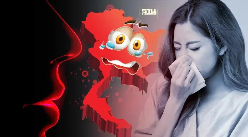 เตือน!ไข้หวัดใหญ่อันตรายถึงตายได้ เหตุเป็นเชื้อนำร่องก่อโรครุนแรง