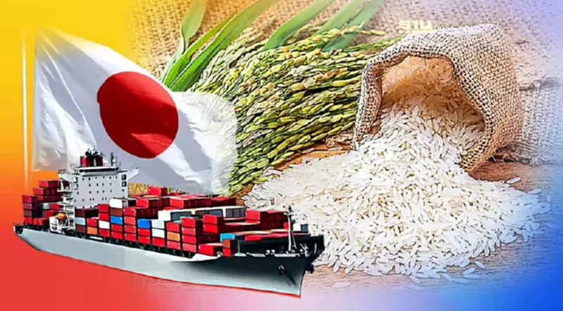 พาณิชย์ขนผู้ส่งออกข้าวไทยเยือนญี่ปุ่น หวังรักษาตลาดข้าวไทย พาณิชย์ขนผู้ส่งออกข้าวไทยเยือนญี่ปุ่น หวังรักษาตลาดข้าวไทย