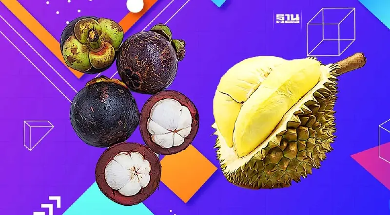 “พาณิชย์"ย้ำติดป้ายชัด-ห้ามกดราคาหลังผลไม้ใต้ออกสู่ตลาด