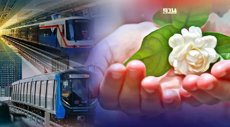 วันแม่ 12 สิงหาคม 66 ชวนคุณแม่ขึ้นรถไฟฟ้า BTS - MRT ฟรี เช็คเงื่อนไขที่นี่