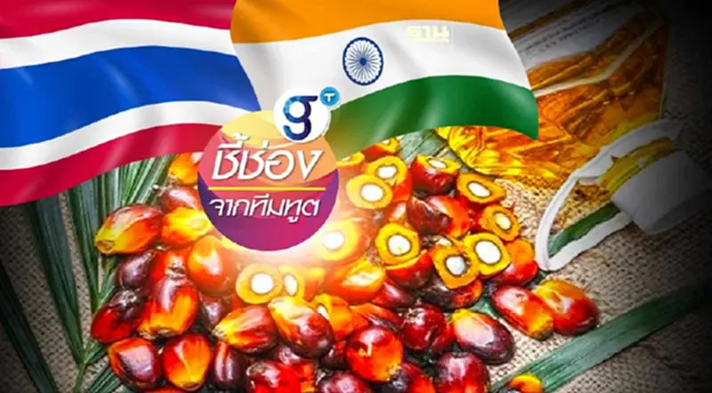 โอกาสของน้ำมันปาล์มไทย ในตลาดส่งออกใหญ่อย่าง “อินเดีย” โอกาสของน้ำมันปาล์มไทย ในตลาดส่งออกใหญ่อย่าง “อินเดีย”