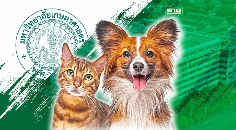 ฉีดวัคซีนโรคพิษสุนัขบ้าฟรี ที่ รพ.สัตว์ ม.เกษตรฯ หมดเขต 30 ก.ย.นี้
