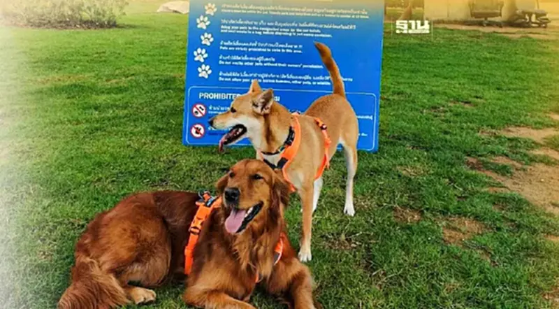 เปิดแล้ว Pet Friendly Park แห่งแรกของกรุงเทพมหานคร เปิดแล้ว Pet Friendly Park แห่งแรกของกรุงเทพมหานคร