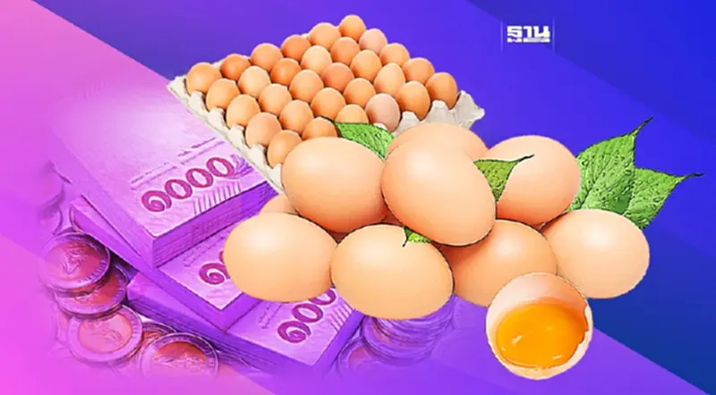 ข่าวดี ราคาไข่ไก่ทรงตัว มีไข่ไก่ออกสู่ตลาด43.99ล้านฟอง ข่าวดี ราคาไข่ไก่ทรงตัว มีไข่ไก่ออกสู่ตลาด43.99ล้านฟอง