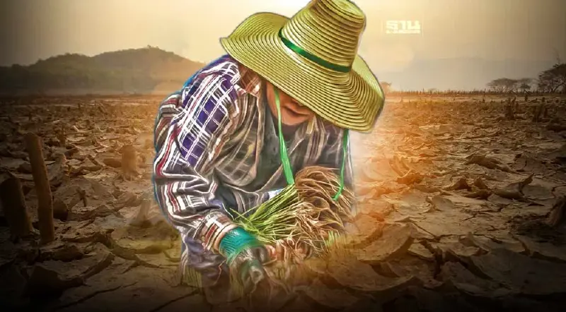 “เอลนีโญ” ถล่ม 5 พืชเกษตรวูบ 2.7 หมื่นล้าน วัดฝีมือแก้รัฐบาลเศรษฐา