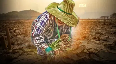 “เอลนีโญ” ถล่ม 5 พืชเกษตรวูบ 2.7 หมื่นล้าน วัดฝีมือแก้รัฐบาลเศรษฐา