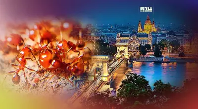 “มดคันไฟ” บุกยุโรป “ภาวะโลกร้อน” เป็นตัวเร่ง