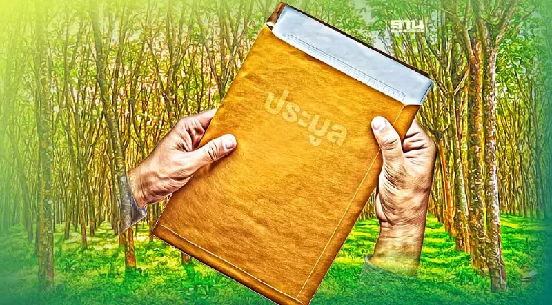 4 บริษัทจ่อชิงดำ ประกันภัยสวนยาง ปี 66 ทิพยฯ เสนอผลประโยชน์สูงสุด