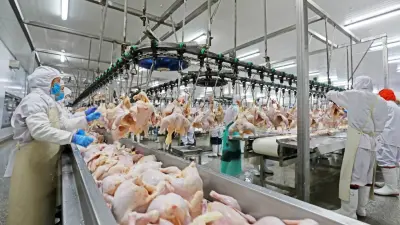 เปิดสถิติ การค้าสินค้าเกษตรไทย มูลค่าส่งออกพุ่ง 8.53 แสนล้าน