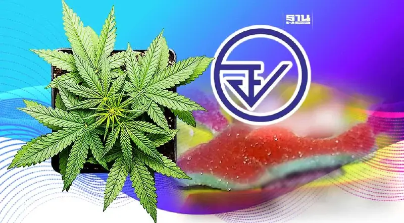 "อย." เตือน "เยลลี่ผสมกัญชา" อันตรายต่อเด็ก