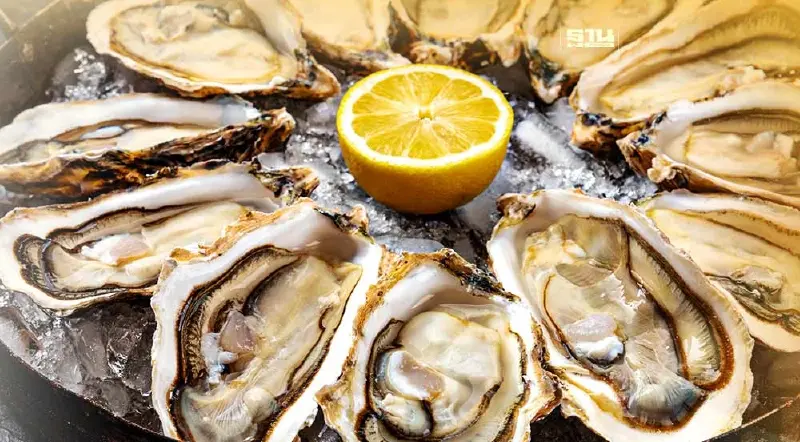 “แบคทีเรียกินเนื้อ” ไม่ได้มีเฉพาะใน “หอยนางรมดิบ” “แบคทีเรียกินเนื้อ” ไม่ได้มีเฉพาะใน “หอยนางรมดิบ”