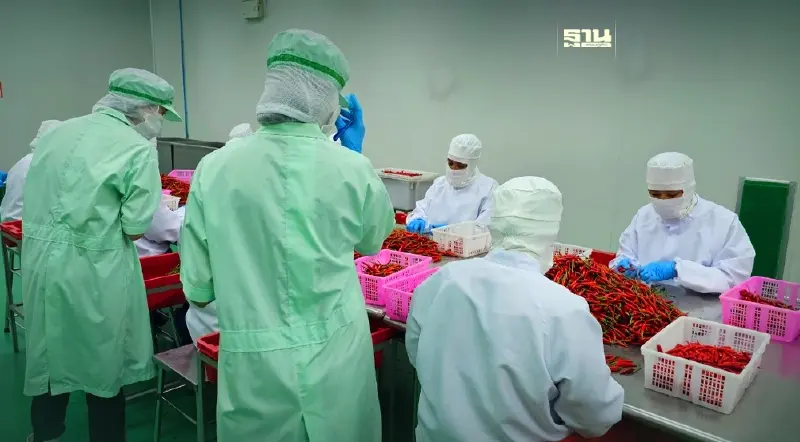 อัปเดต “ระเบียบ 248” กรมวิชาการเกษตร เร่งขึ้นทะเบียนก่อนส่งออกอาหารไปจีน