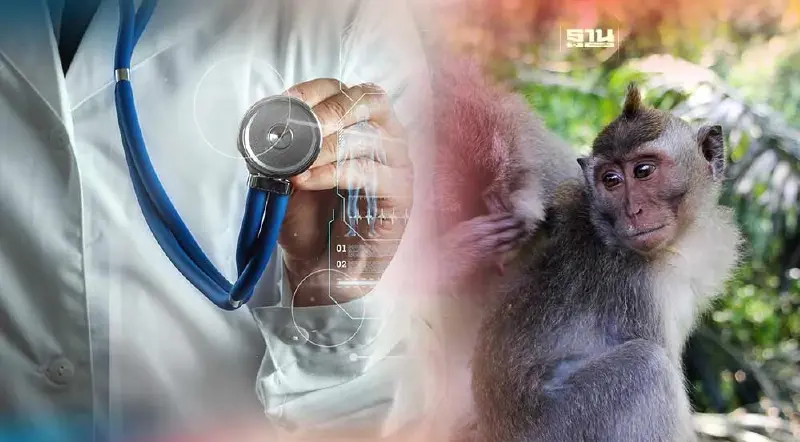 รวมจุดรักษาโรคฝีดาษลิง สปสช. ในพื้นที่ กทม. คลิกที่นี่ 