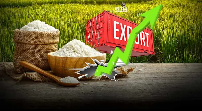 ส่งออกข้าว7 เดือนพุ่ง13.5% อานิสงส์อินเดีย-เมียนมาจำกัดส่งออก