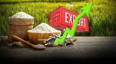 ส่งออกข้าว7 เดือนพุ่ง13.5% อานิสงส์อินเดีย-เมียนมาจำกัดส่งออก