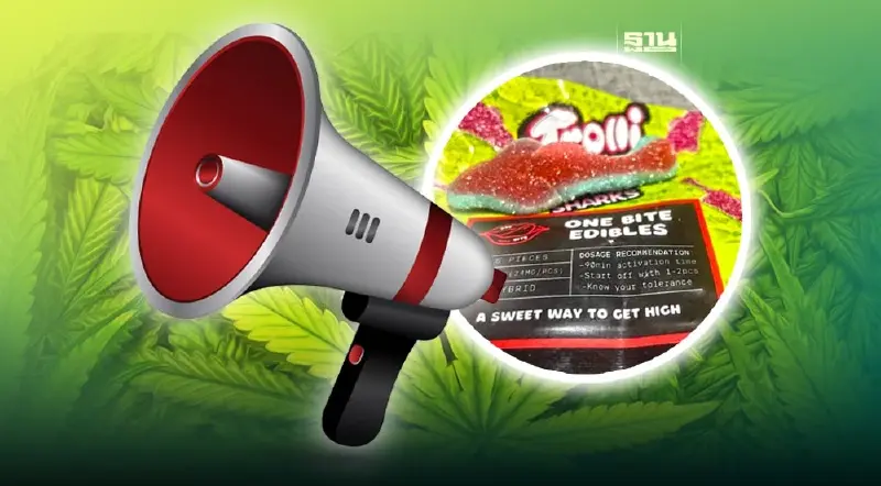 อย.เตือนภัย เด็กไม่ควรกินเยลลี่ผสมกัญชา อันตรายถึงหามส่งรพ.