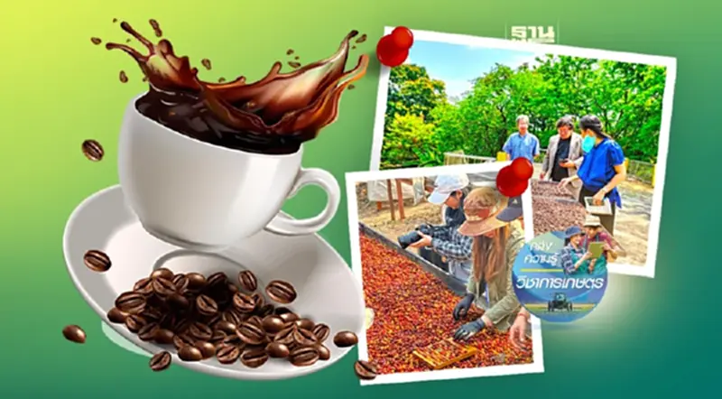 กรมวิชาการเกษตร ดันนวัตกรรมหมักกาแฟอะราบิกา ต่อยอดธุรกิจจากฐานชีวภาพ กรมวิชาการเกษตร ดันนวัตกรรมหมักกาแฟอะราบิกา ต่อยอดธุรกิจจากฐานชีวภาพ