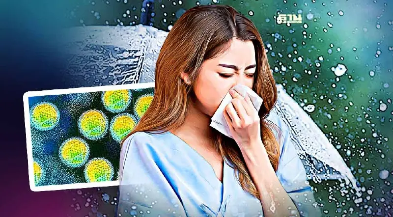 "ไข้หวัดใหญ่" ช่วงหน้าฝน ยอดผู้ป่วยพุ่ง! เสียชีวิตแล้ว 8 ราย