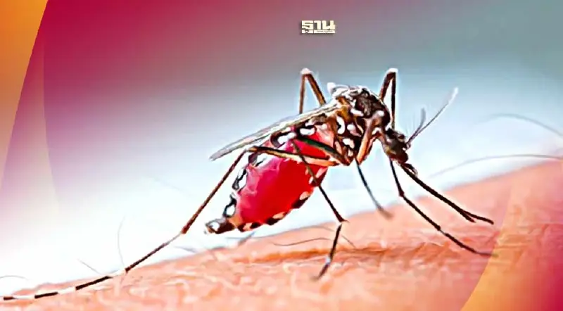 เตือน!ไข้เลือดออกเพิ่มขึ้นทุกวัย-ตายเกิน 100 ราย