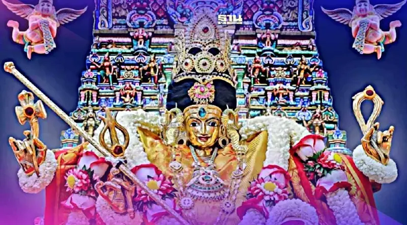 เปิดภาพงาน "นวราตรี 2566" พิธีผูกข้อมือคนทรง บูชาราชรถ