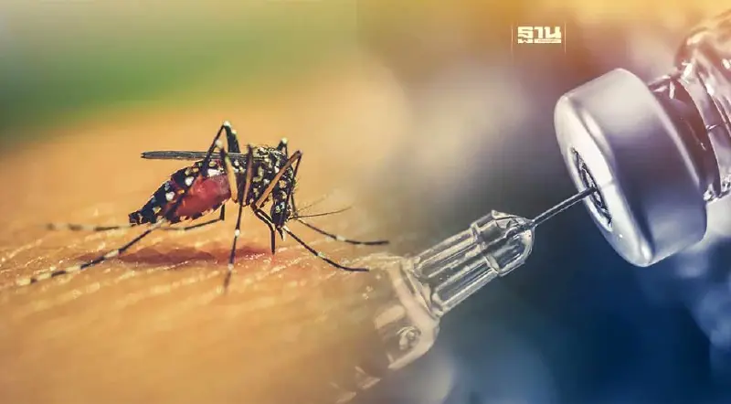 ข่าวดี!มีวัคซีนไข้เลือดออกกันติดเชื้อ-อาการรุนแรงได้ 80-90%