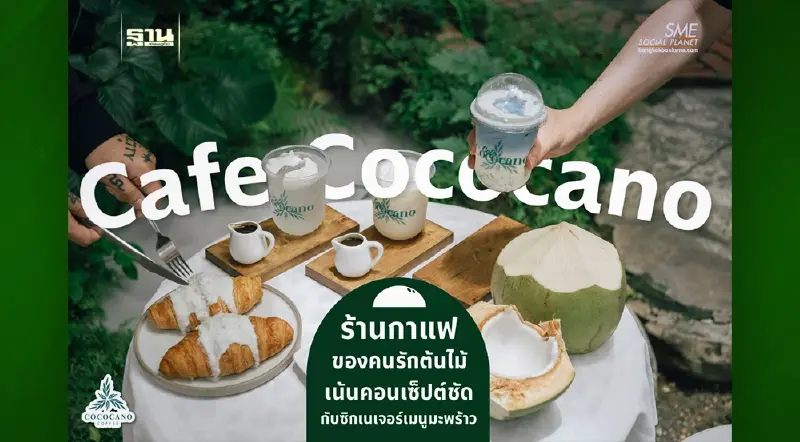 เปิดเบื้องหลัง Concept  ร้านกาแฟของคนรักต้นไม้ ‘Cafe Cococano’ กับซิกเนเจอร์ ‘เมนูจากมะพร้าว’