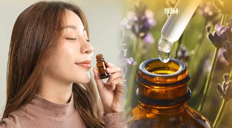 กลิ่น"น้ำมันกอมระเหย"ช่วยสมองดีขึ้นถึง 226%