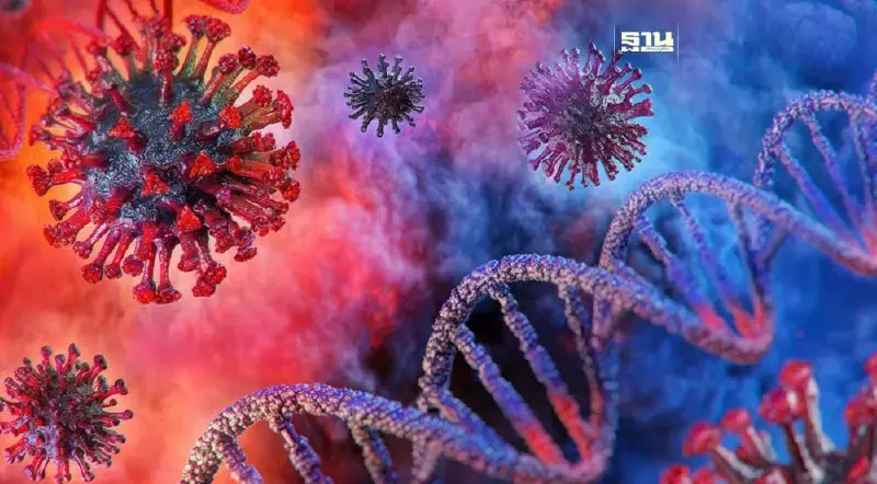 จับตา โควิดสายพันธุ์หลักปี 67 "กลายพันธุ์คู่-พลิกขั้ว" 