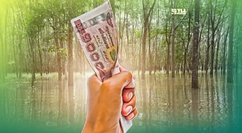 ข่าวดี ชาวสวนยางพื้นที่น้ำท่วม ยื่นรับเงินเยียวยา 3,000 บาท ข่าวดี ชาวสวนยางพื้นที่น้ำท่วม ยื่นรับเงินเยียวยา 3,000 บาท
